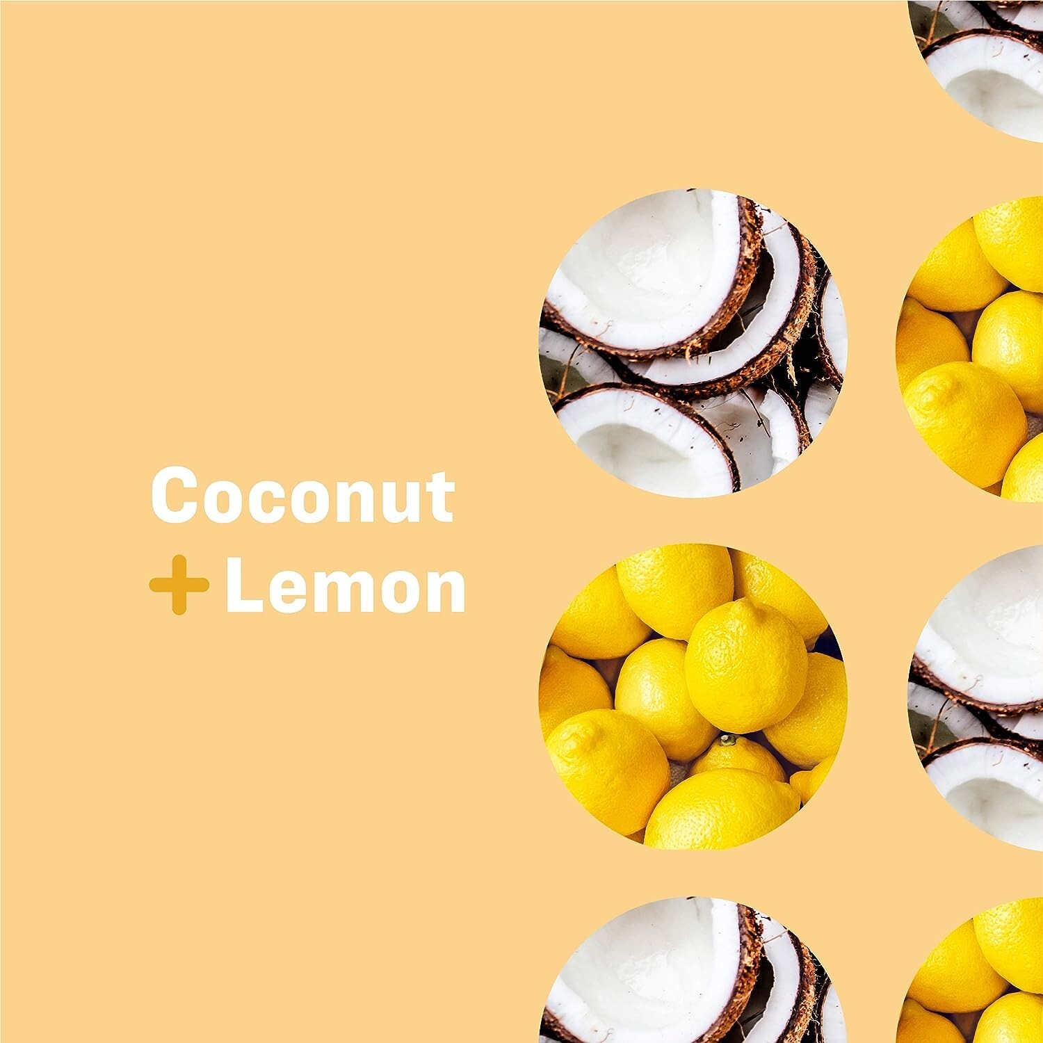 Plant-Based Nourishing Coconut Lemon Lotion - 2oz Travel Size, Pack of 12