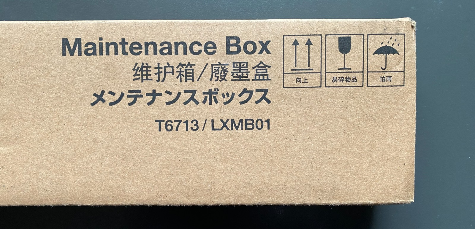 Genuine EPSON MAINTENANCE BOX - LXMB01 / T6713 (INC VAT)