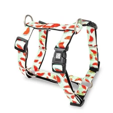 Max & Molly Large Dog Harness- Watermelon Pattern
