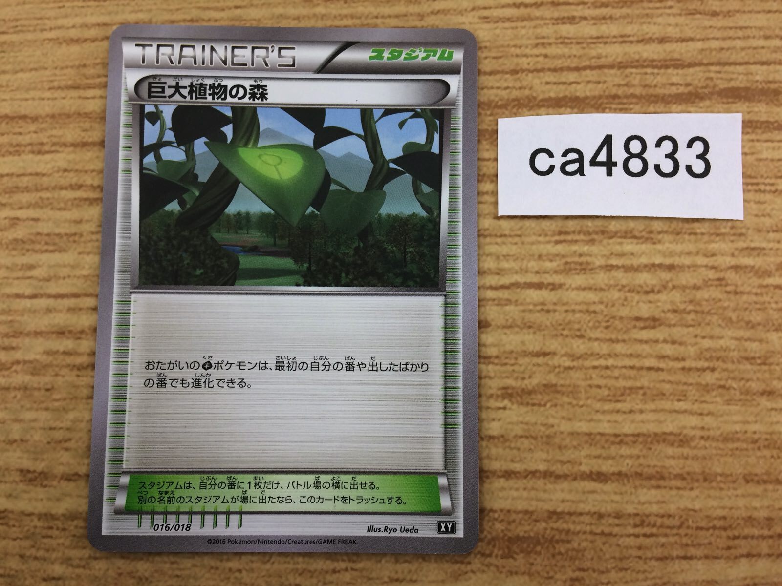 CA4833 Forest of Giant Plants I - XY 016/018 Pokemon Card TCG
