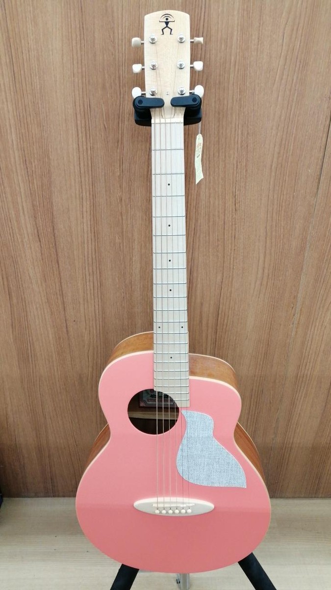 アヌエヌエ（aNueNue）ギター　aNN-MC10LC アヌエヌエ aNN-MC10-LC (アコースティックギター) 価格比較