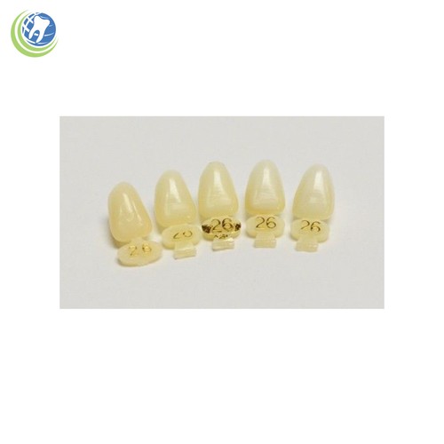 DENTAL POLYCARBONATE TEMPORARY CROWNS 26 (ULL) UPPER LEFT LATERAL 5