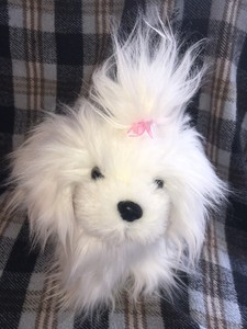 stuffed animal white dog