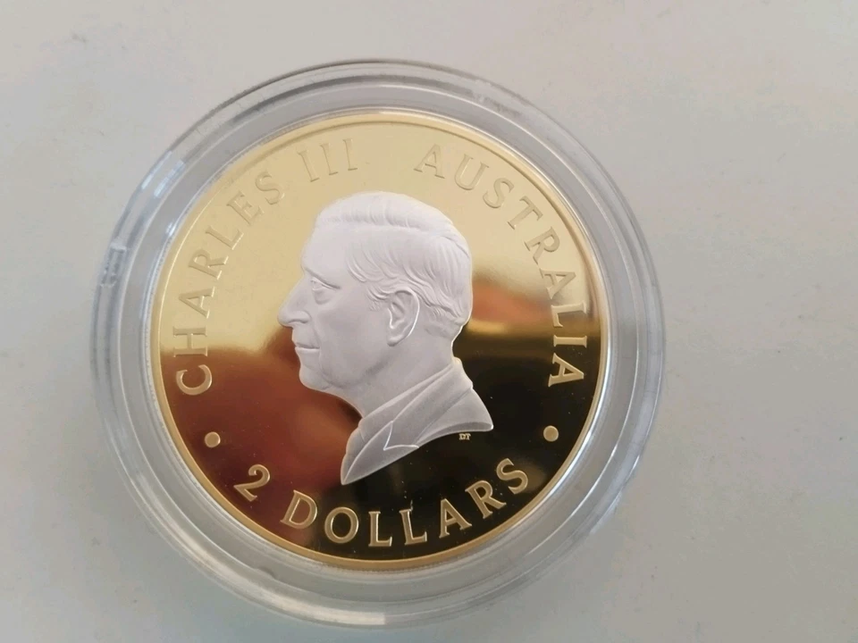 2oz 999er Silber Kangaroo 2024 Gold plated Münze Charles III - Bild 3 von 4