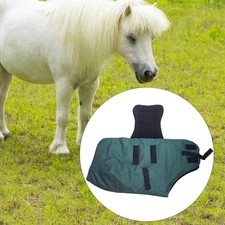 Horse Winter Blanket Equine Protection Adjustable Windproof Horse Rain Sheet