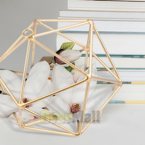2Pcs Air Plant Holder Mini Modern Geometric Metal Planter Hanger Plants Display - Picture 6 of 12