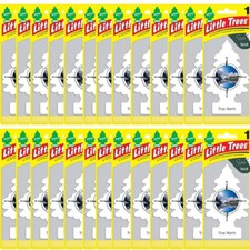 Little Trees True North Scent Car  Home Hanging Air Fresheners, Pack of 24