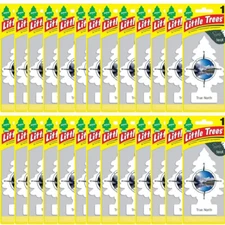 Little Trees True North Scent Car & Home Hanging Air Fresheners, Pack of 24