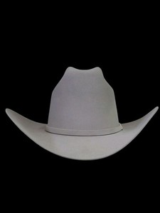 Stetson Mist Grey | eBay