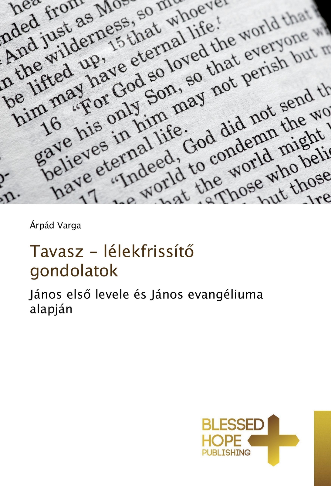 Thumbnail - Tavasz - Lélekfrissít¿ Gondolatok | Árpád Varga | Taschenbuch |
