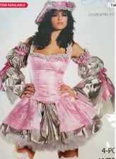     Be Wicked Marie Antoinette Pink And Silver Costume One Size 5 Piece Set    