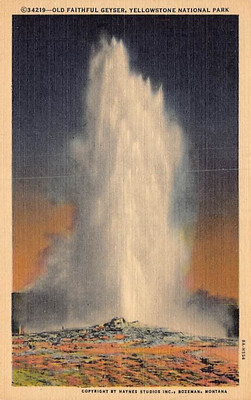 Postcard WY: Old Faithful Geyser, Yellowstone NP, Wyoming, Linen