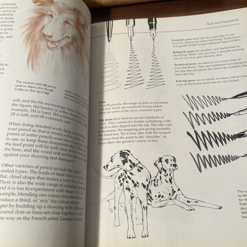 Collins Learn To Draw Dogs By David Brown Art Draw Sketch Instruction Book(S1.8) - 第 7/11 張圖片