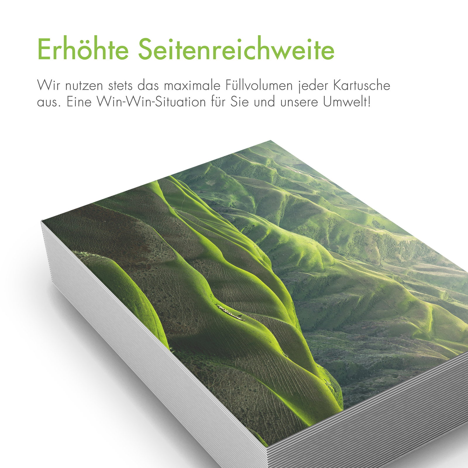 Bild 7 von 12