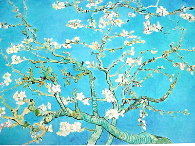 van gogh almond blossom museum