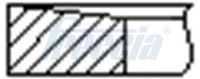 Freccia Kolbenringsatz FR10-385700 FüR Opel Vivaro Bus X83 Cdti A07 Renault 3 5