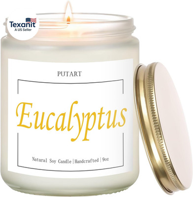 Eucalyptus Mint Highly Scented Candles, Natural Soy Aromatherapy Organic Non Tox