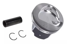 Genuine GM Driver Side Piston 12699529