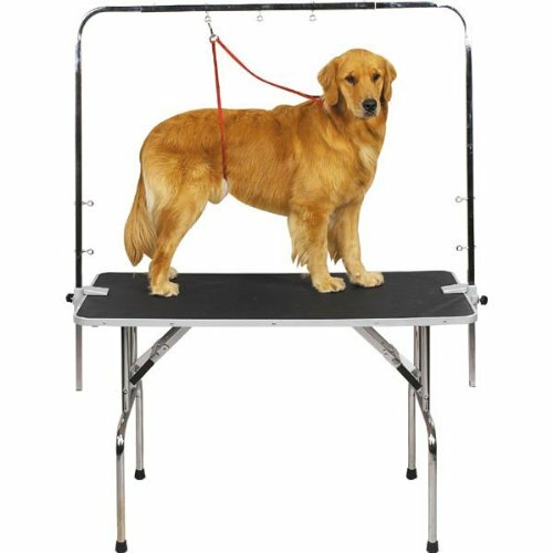 Zinc-plated Steel Overhead Pet Grooming Arm