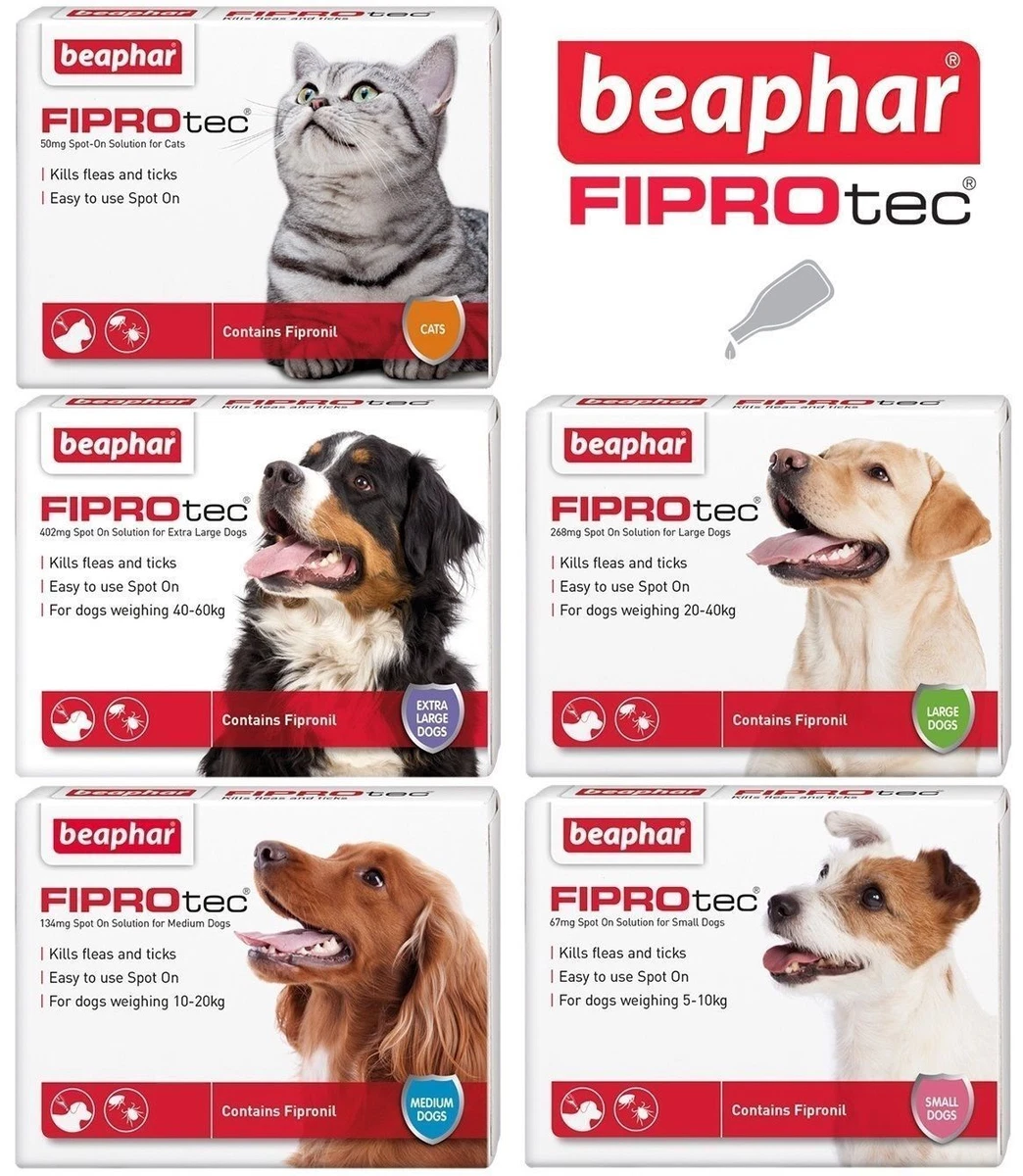 Beaphar flea spot on for dogs top
