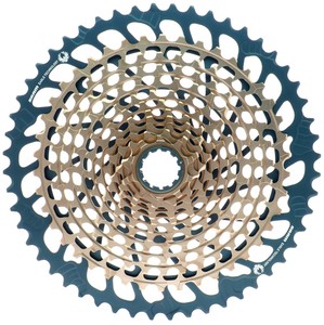 xx1 12 speed cassette
