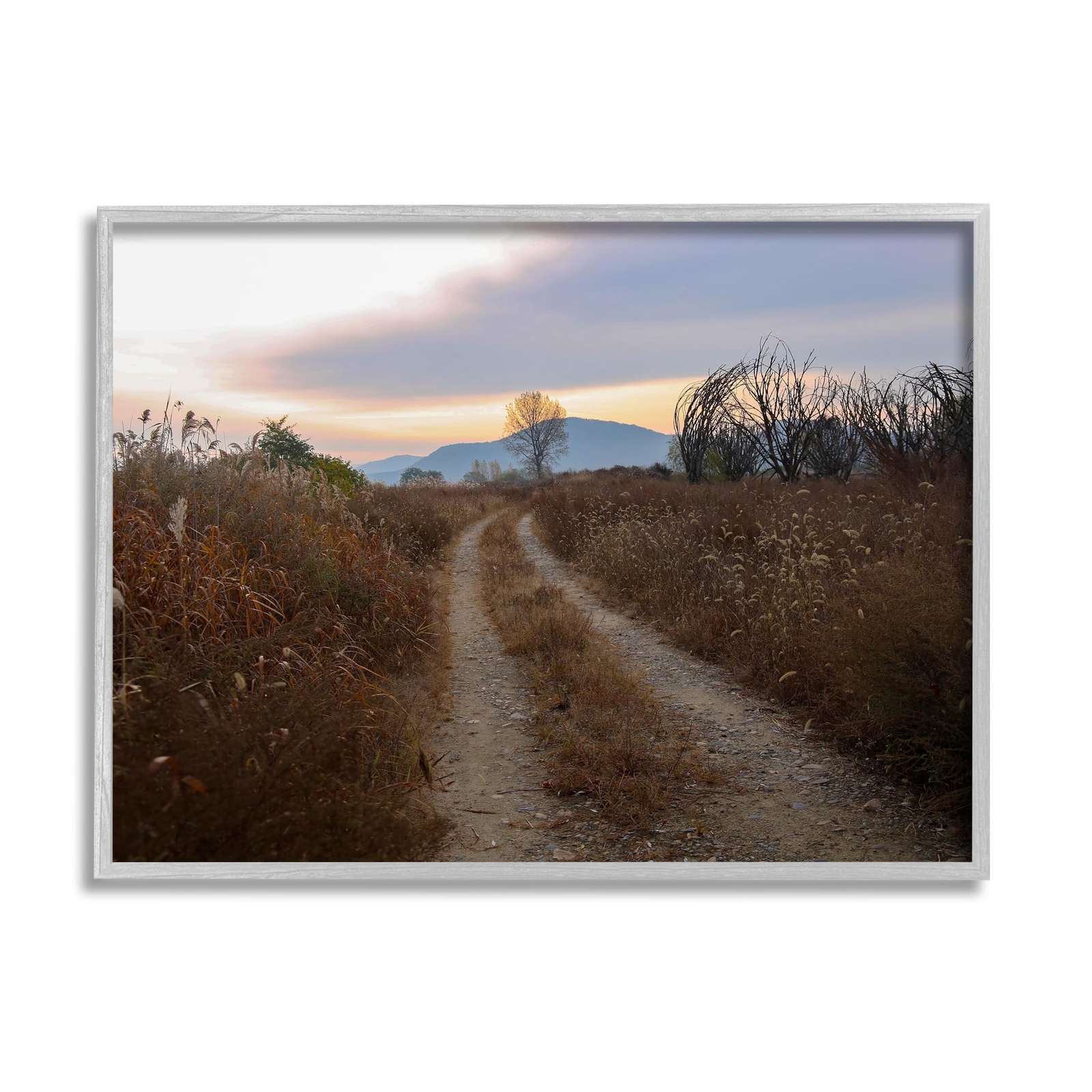 Rural Trail Landscape Gray Framed Giclee Art Design by Lil' Rue