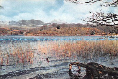 D098865 Coniston Fells From Coniston Water. J. Arthur Dixon