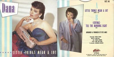 Disco 45 Giri Dana   Little Things Mean A Lot // Till The Morning Light
