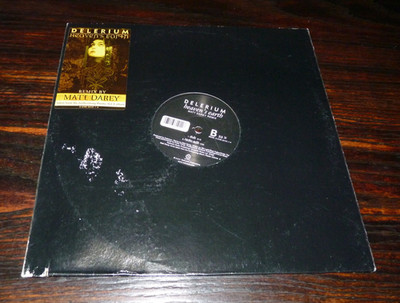 Delerium - Heaven's Earth (Vinyl 12'' Single) Matt Darey Club Remix/ Dub - Trance