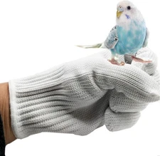 Bird Training Anti-Bite Gloves Parrot Chewing Protective Gloves Small Anima
