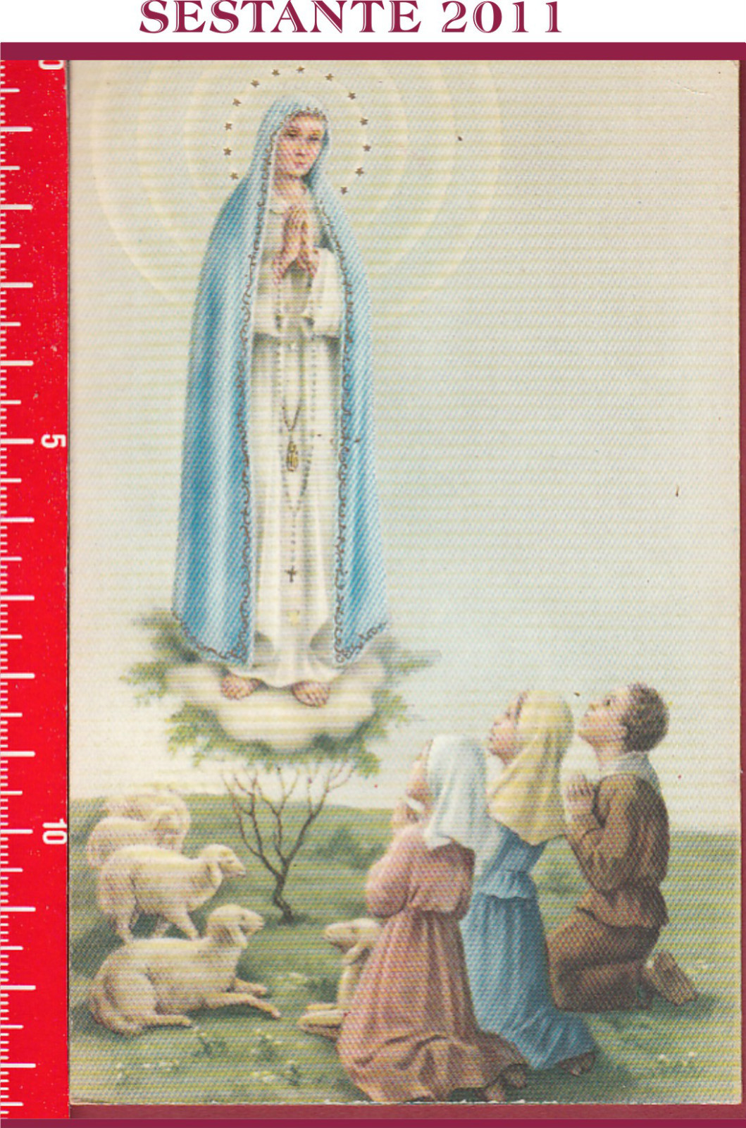 Imagen 1 de 1