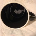 Foto 6 di 6