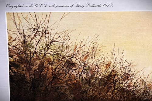 Henry Stallworth Along The Sendero litografia caccia alla quaglia anno 1978 - senza cornice - Foto 5 di 6