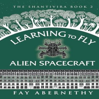 Learning to Fly Alien Spacecraft Fay Abernethy Hardcover Fay Aber