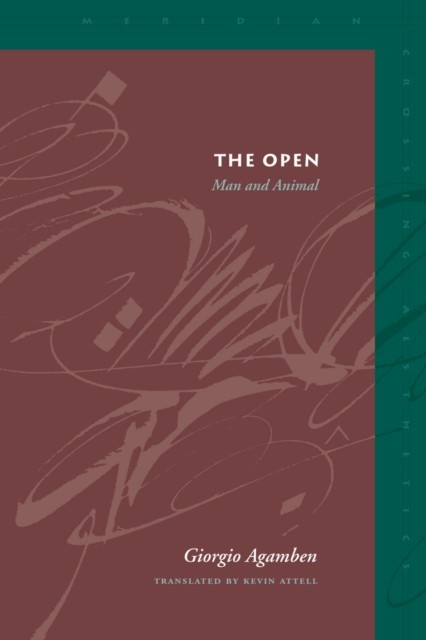 The Open Man and Animal by Giorgio Agamben (Paperback Book)