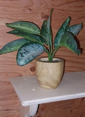 Threshold Tabletop Artificial Plant