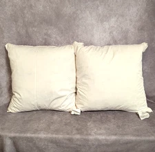 PAIR of Vintage Pillowtex White Goose Feather Down PILLOWS  19" Square