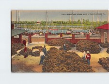 Postcard Sponge And Sponge Boats At Tarpon Springs Florida USA