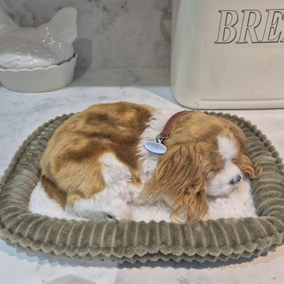 King Charles Spanial Dog Perfect Petzzz realistisches Atemspielzeug