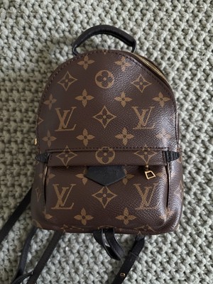 AUTHENTIC Louis Vuitton Palm Springs Mini 