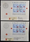 SWITZERLAND 1963 Red Cross Memorial, x2 Sheets on Reg Covers/FDC - Must LOOK