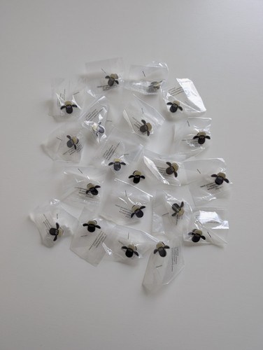 ✅ Anstecker / Shaun Das Schaf - WDR - Neu - Sammeln - 2cm - Kinder - Selten ✅ - Bild 6 von 16