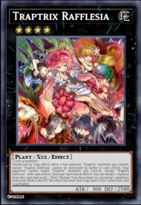 YuGiOh! 25th Anniversary Rarity Collection 2  1st Edition Singles (Near  Mint)