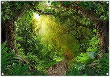 7x5ft Jungle Forest Photography Backdrop Rainforest Background