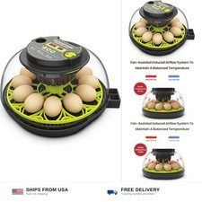 Incubators for Hatching Eggs 12 Egg Incubator with Automatic Egg Turning and ...