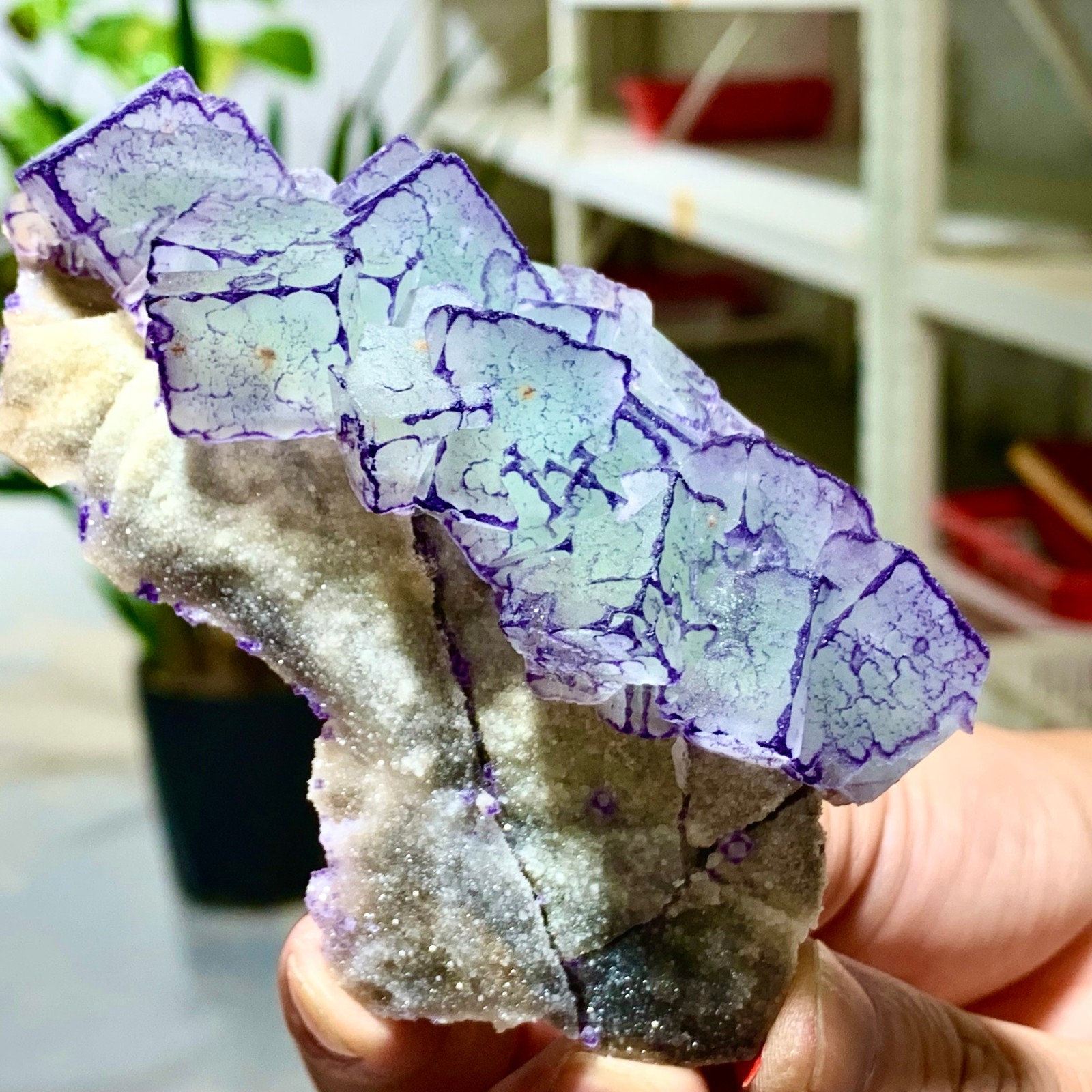 Natural Fluorite Crystal Sample in Purple & Green from Yaogangxian 183G