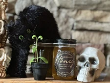 Mother of Thousands Succulent Seedling