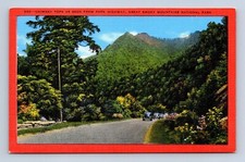 Twin-Peaked Chimney Tops-Great Smoky Mountains National Park Postcard Unposted