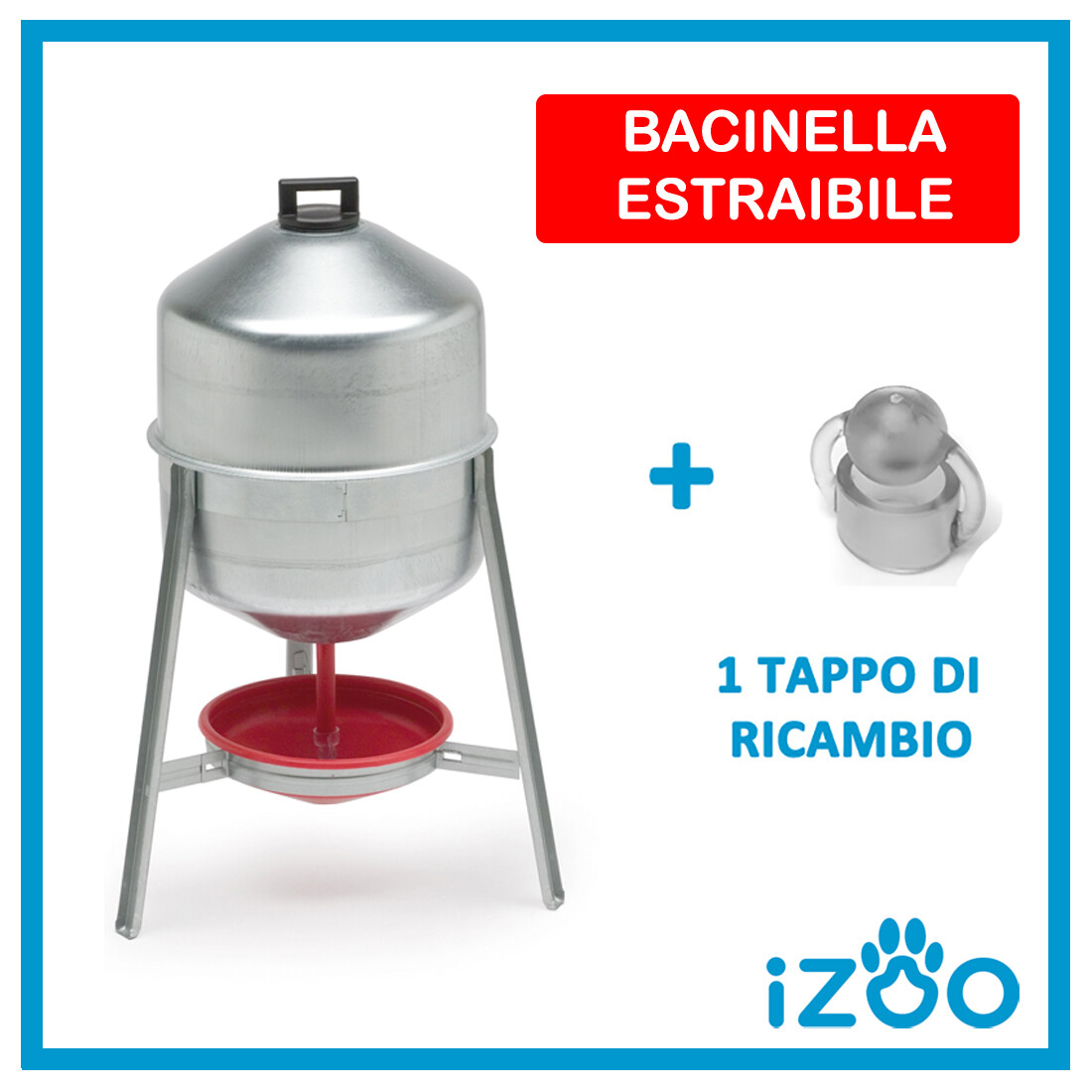 Testi Noce Marcio Beverini Per Polli Sette Motto Cosmico - Foto 3