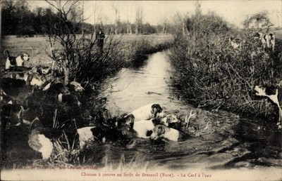 Postcard Breteuil Eure, Foret, Le Cerf a l eau - 4436886